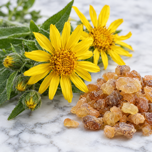 Arnica flowers and boswellia resin